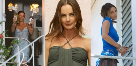 burnnoticefionacollage